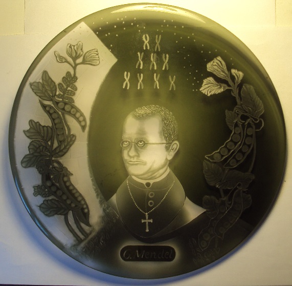 Flowering of Knowledge